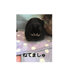 うさパンちゃん2（個別スタンプ：14）