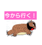 【唐揚げ怪獣ジェフ】公式（個別スタンプ：22）