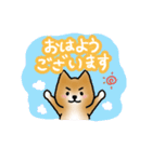 まいにち柴犬ちゃん（個別スタンプ：2）