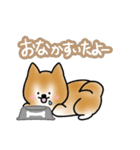 まいにち柴犬ちゃん（個別スタンプ：19）