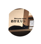 ちょこにゃん（あいさつ編）（個別スタンプ：3）