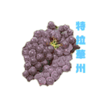 野菜写真パイナップル桃バナナ台湾語玉ねぎ（個別スタンプ：19）