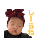 らんたんstamp（個別スタンプ：14）