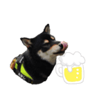 愛犬ふがし（個別スタンプ：7）