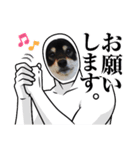 愛犬ふがし（個別スタンプ：13）