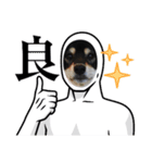 愛犬ふがし（個別スタンプ：14）