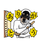愛犬ふがし（個別スタンプ：15）