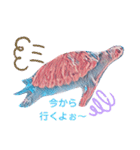 亀カメ言葉（個別スタンプ：10）