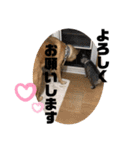 こたんず（個別スタンプ：20）