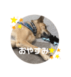 こたんず（個別スタンプ：35）