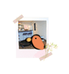 ハトマメくん（個別スタンプ：3）