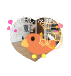 ハトマメくん（個別スタンプ：17）