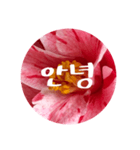 チェリースター♡韓国語♡花♡（個別スタンプ：1）
