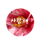チェリースター♡韓国語♡花♡（個別スタンプ：7）