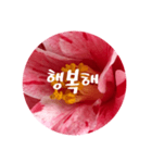 チェリースター♡韓国語♡花♡（個別スタンプ：8）