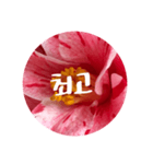 チェリースター♡韓国語♡花♡（個別スタンプ：15）