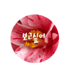 チェリースター♡韓国語♡花♡（個別スタンプ：16）