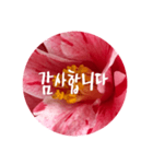 チェリースター♡韓国語♡花♡（個別スタンプ：18）