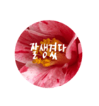 チェリースター♡韓国語♡花♡（個別スタンプ：20）