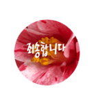 チェリースター♡韓国語♡花♡（個別スタンプ：21）
