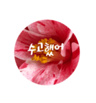 チェリースター♡韓国語♡花♡（個別スタンプ：24）
