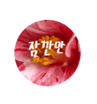 チェリースター♡韓国語♡花♡（個別スタンプ：35）