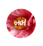チェリースター♡韓国語♡花♡（個別スタンプ：39）