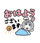 シルバートイプードル まんぷく君②（個別スタンプ：1）