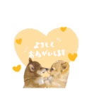 ふうかちゃんのすたんぷ（個別スタンプ：11）