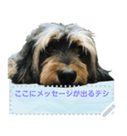 My dog pockys Message Sticker（個別スタンプ：3）