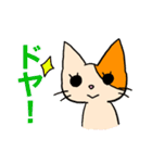 アホねこのLINEスタンプ（個別スタンプ：4）