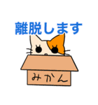 アホねこのLINEスタンプ（個別スタンプ：5）