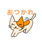 アホねこのLINEスタンプ（個別スタンプ：12）