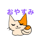 アホねこのLINEスタンプ（個別スタンプ：13）