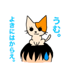 アホねこのLINEスタンプ（個別スタンプ：17）