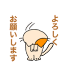 アホねこのLINEスタンプ（個別スタンプ：19）