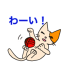 アホねこのLINEスタンプ（個別スタンプ：28）