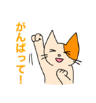 アホねこのLINEスタンプ（個別スタンプ：29）