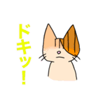 アホねこのLINEスタンプ（個別スタンプ：38）