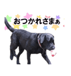 レビィとティムのスタンプです。（個別スタンプ：7）