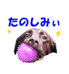 レビィとティムのスタンプです。（個別スタンプ：10）