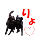 レビィとティムのスタンプです。（個別スタンプ：15）