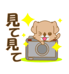 Happeve ‐たんたんチベタン-（個別スタンプ：18）