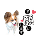 そら*.（個別スタンプ：7）