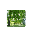 お花と風景と動物のひとことスタンプ（個別スタンプ：2）