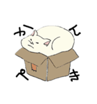 ぎゅうぎゅうねこ（個別スタンプ：1）