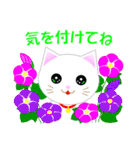 可愛い猫の花ちゃんと力くん。楽しい夏❤（個別スタンプ：4）