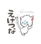 【関西弁】毎日使える子猫のもちゃの大阪弁（個別スタンプ：17）