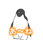 福岡（博多弁）雑ゆるなペンギン（個別スタンプ：6）