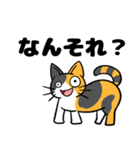 【ぬこ】だんごときなこ三重風訛り【猫】（個別スタンプ：1）